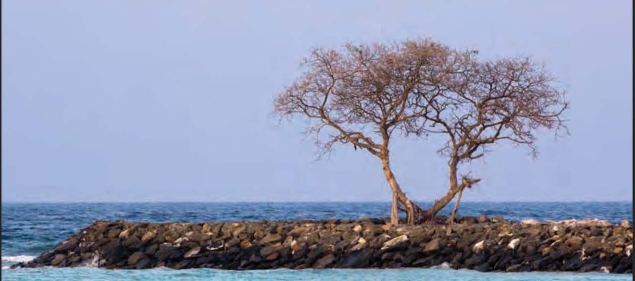 ދިވެހިރާއްޖޭގެ މަލްޓިހާޒާޑް އެޓްލަސް